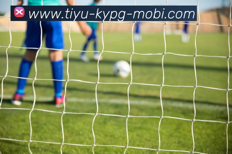 开元棋牌发展历程